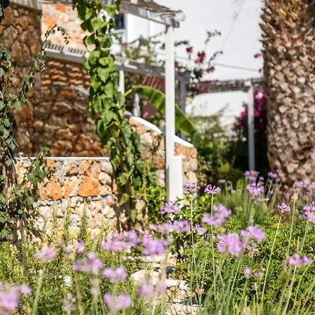 Irini Hotel Livadia (Tilos)