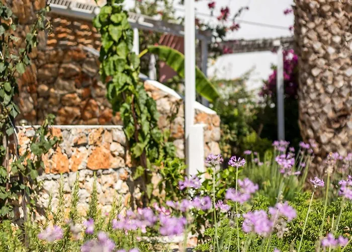 Irini Hotell Livadia (Tilos)